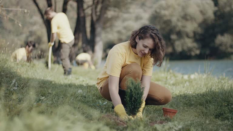 Best Lawn Mowing  in Greensboro, MD